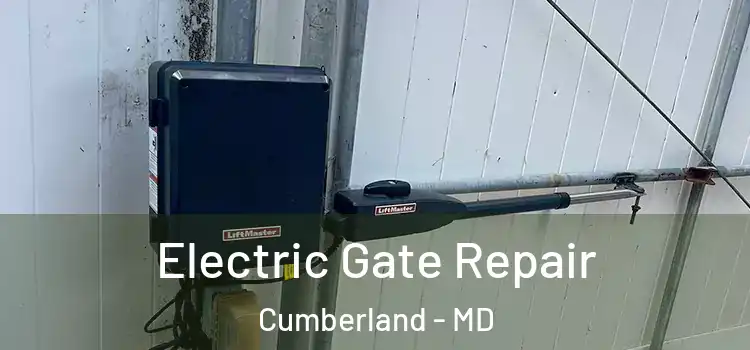 Electric Gate Repair Cumberland - MD