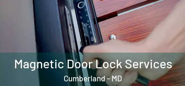 Magnetic Door Lock Services Cumberland - MD